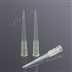 LABSELECT T-0200-R-S 盒裝吸頭 200ul無菌盒裝吸頭50.55mm圖片